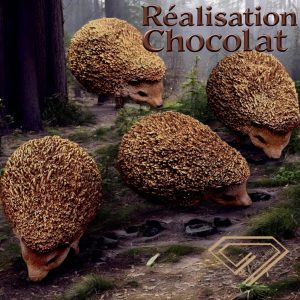HERISSON CHOCOLAT