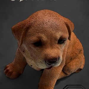 PETIT CHIEN CHOCOLAT